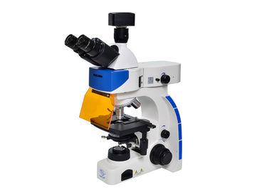Китай Люминесцентный микроскоп СИД Тринокулар чистосердечный с б &amp; фильтром флуоресцирования г поставщик