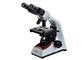 Микроскоп оптической системы Финиты электронный бинокулярный с лампой галоида поставщик
