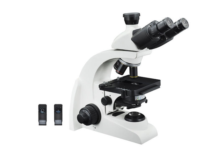 Микроскоп 40С биологического контраста участка светлый - увеличение 1000С
