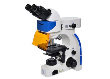 Китай Люминесцентный микроскоп УОП чистосердечный, высокая флуоресцентная микроскопия разрешения поставщик