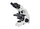 чернота увеличения биологического микроскопа 40-1000С лаборатории 6В 20В белая поставщик