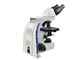 микроскоп биологического микроскопа лаборатории 100С бинокулярный светлый с СИД 3В освещает поставщик