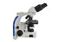 микроскоп биологического микроскопа лаборатории 100С бинокулярный светлый с СИД 3В освещает поставщик