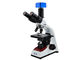 Микроскоп Тинокулар биологического микроскопа лаборатории ВФ10С/18мм с лампой СИД поставщик