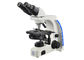 Микроскоп увеличения профессионального бинокулярного микроскопа Уоп самый высокий поставщик
