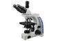 Компактная микроскопия затемненного поля, объектив увеличения микроскопа 10кс передачи поставщик