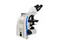 Микроскопия затемненного поля оптически для окуляра морских организмов ВФ10С20 поставщик