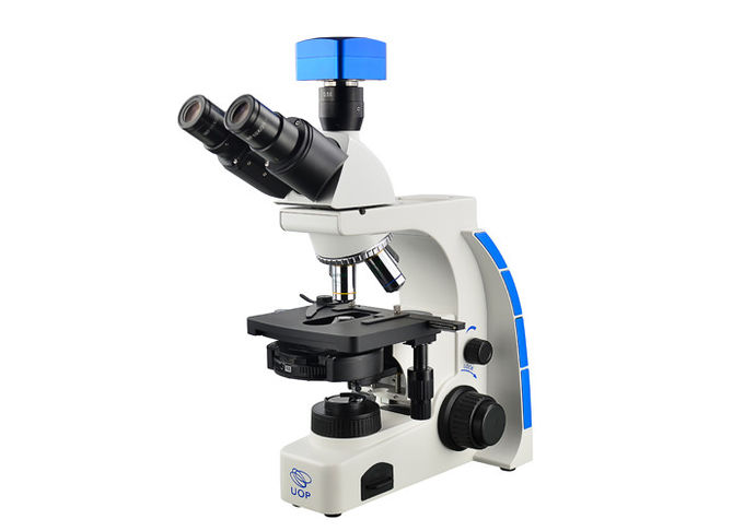 Микроскоп 40С контраста участка Тинокулар - микроскоп средней школы 1000С