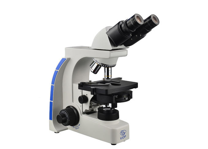 Микроскоп увеличения профессионального бинокулярного микроскопа Уоп самый высокий