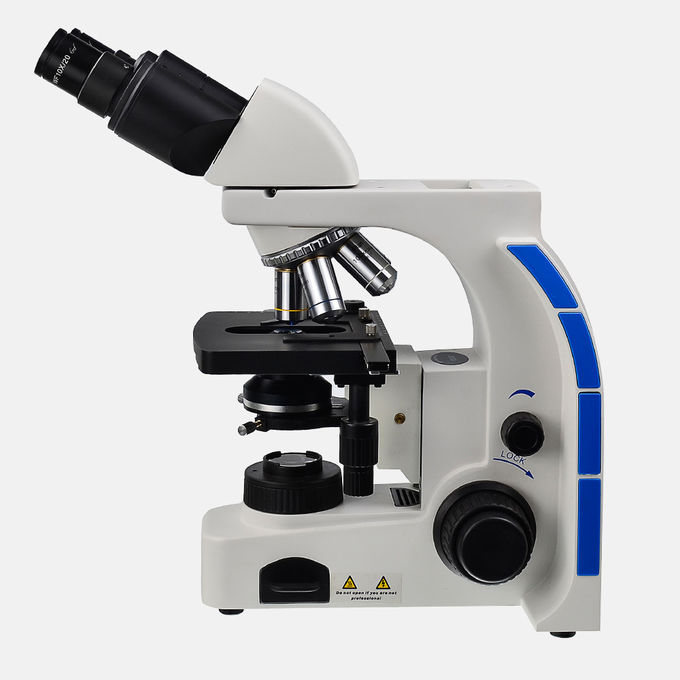 Даркфиельд-В реальном маштабе Времени-Кров-Анализ-Микроскоп-Инструментальное произведение-микроскоп
